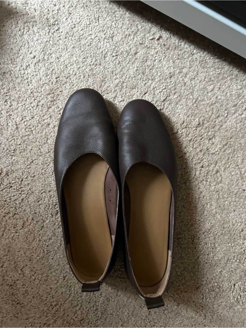 Everlane Chocolate Day Glove 8 Italy